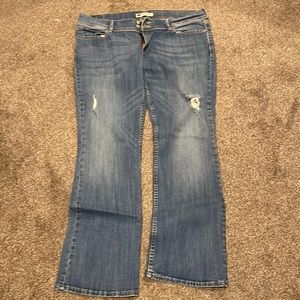 Girls juniors Levi’s jeans size 17 M